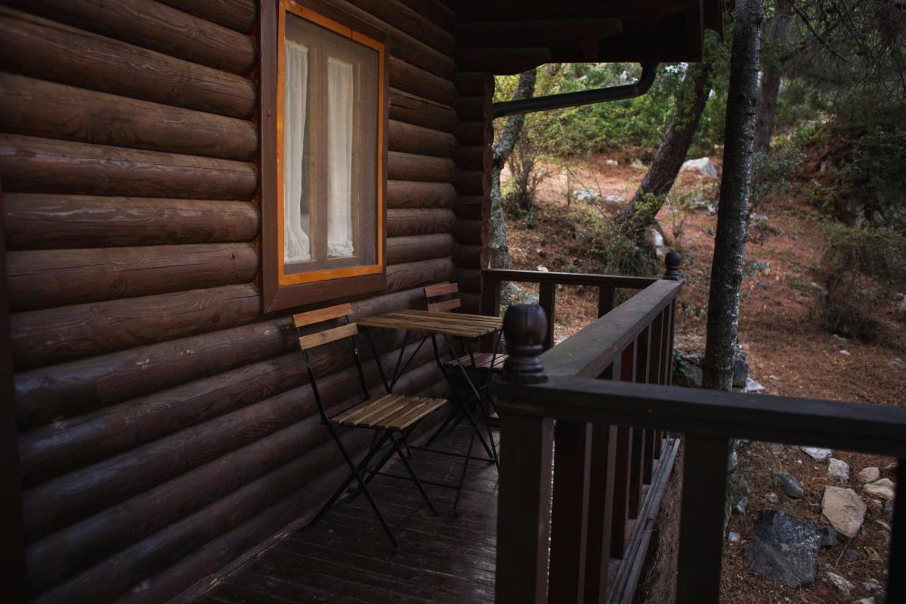 Camping Tajorodillo Grazalema Exteriör bild